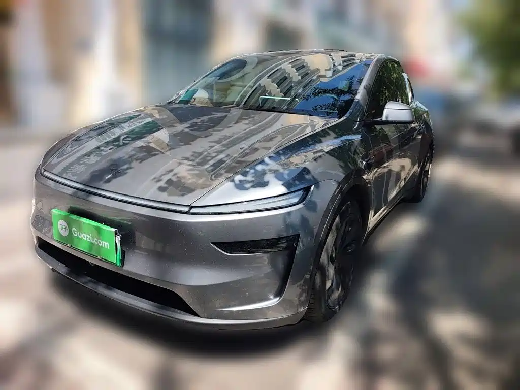 Tesla Model Y — миниатюра 2