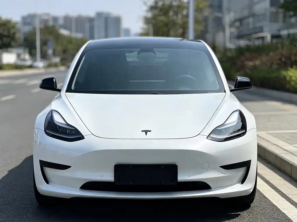Tesla Model 3 — миниатюра 2