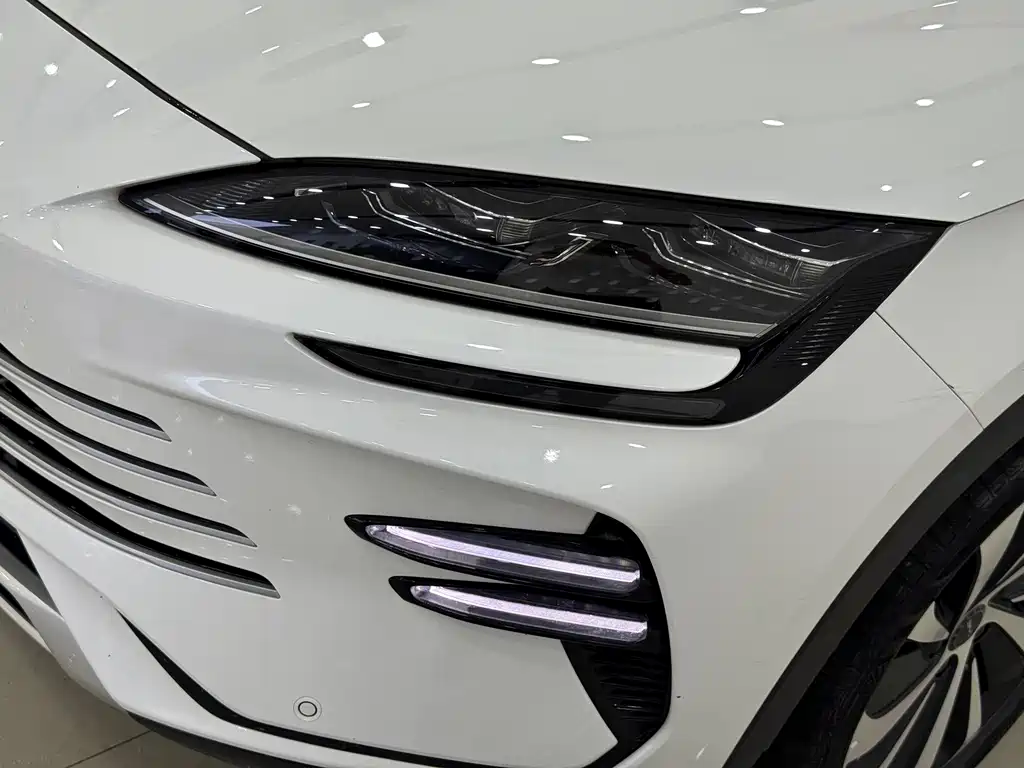 BYD PLUS New Energy — миниатюра 3