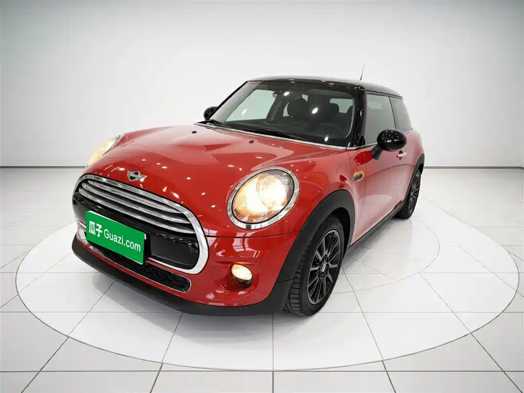 Mini Mini 2015