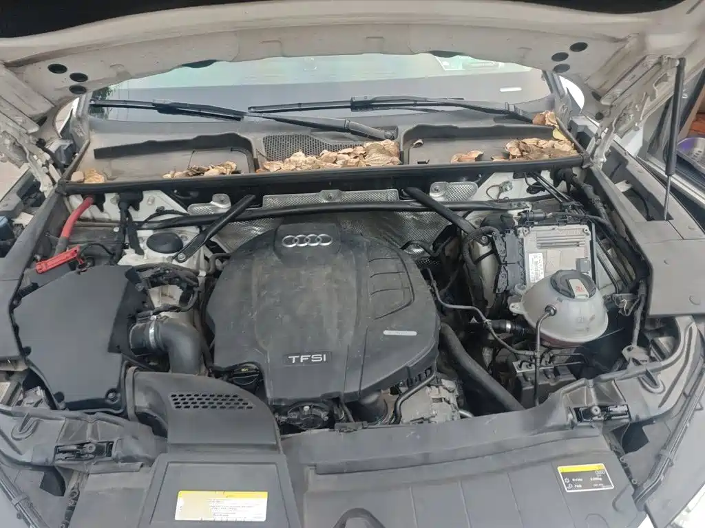 Audi Q5L — миниатюра 11