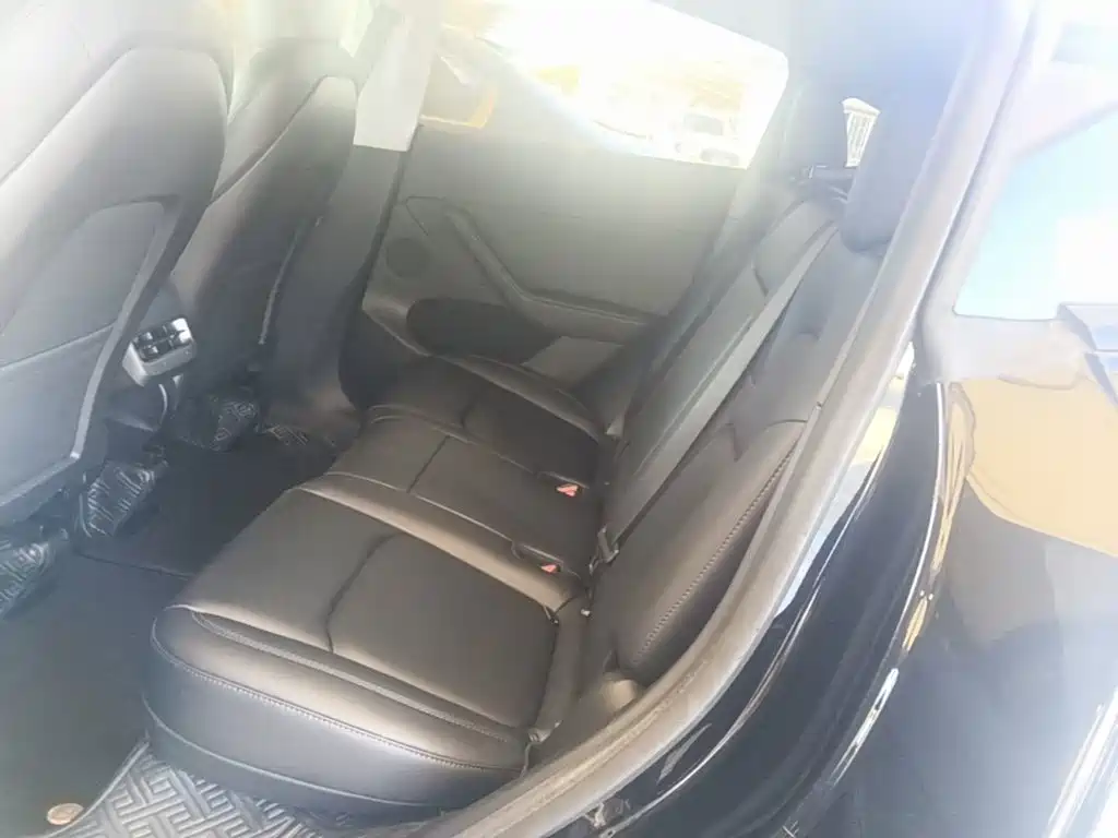 Tesla Model Y — миниатюра 17