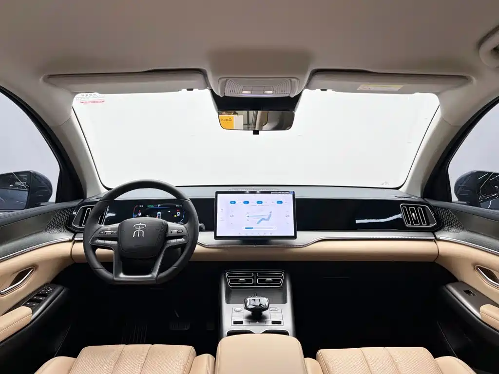 BYD Pro New Energy — миниатюра 21