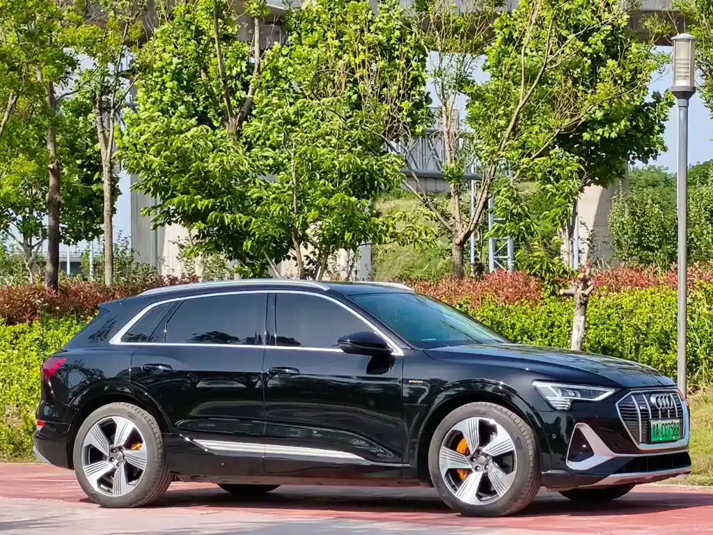 Audi e-tron 2021