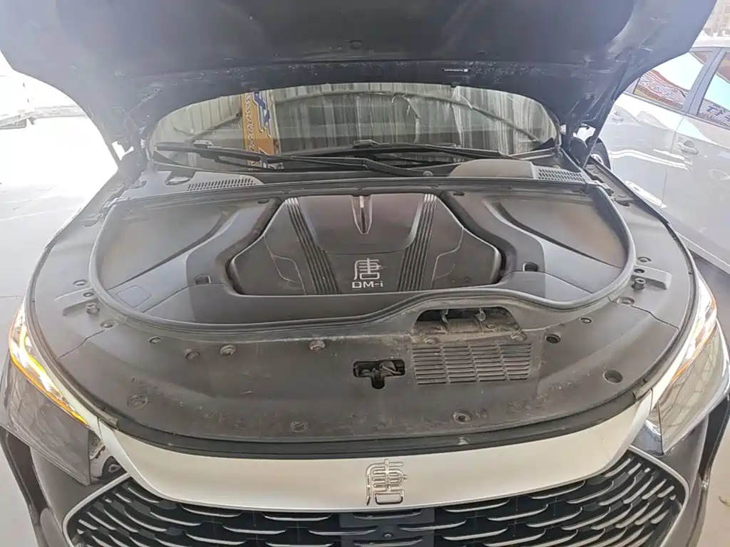 BYD Tang New Energy — миниатюра 20