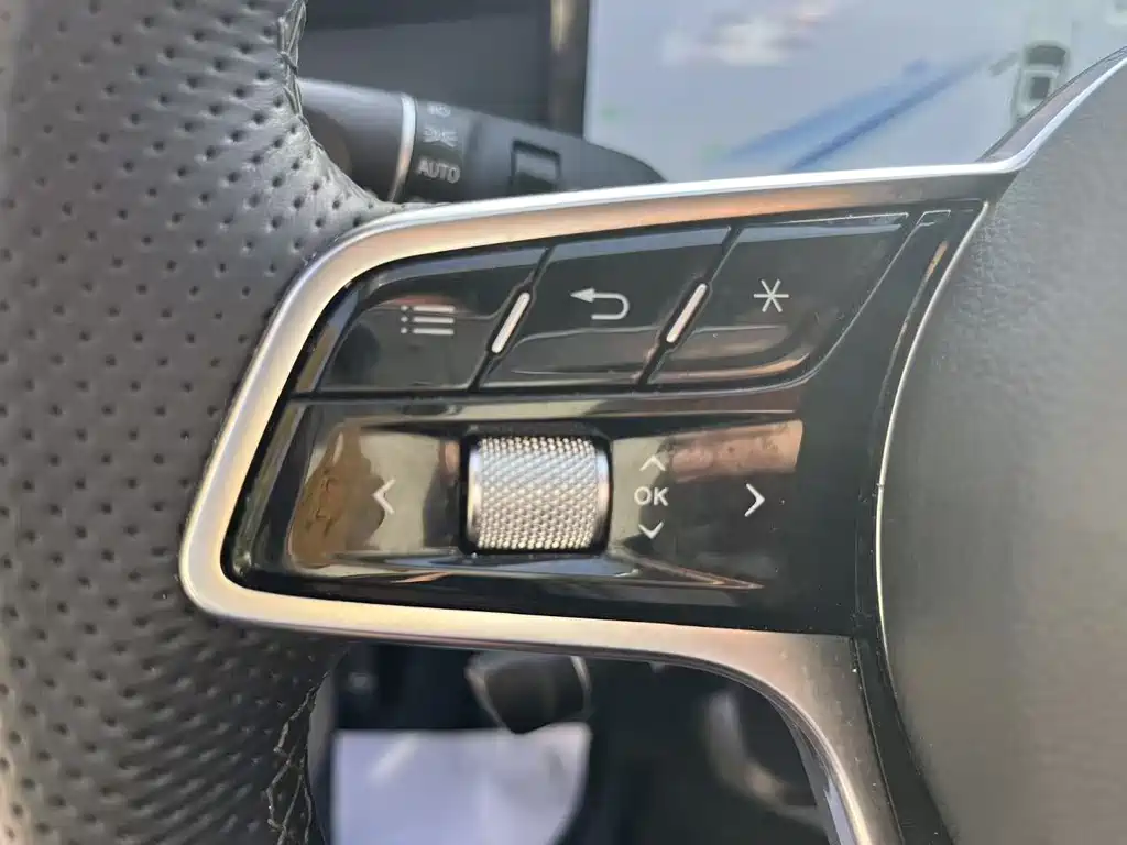 Hongqi Hongqi H5 PHEV — миниатюра 20