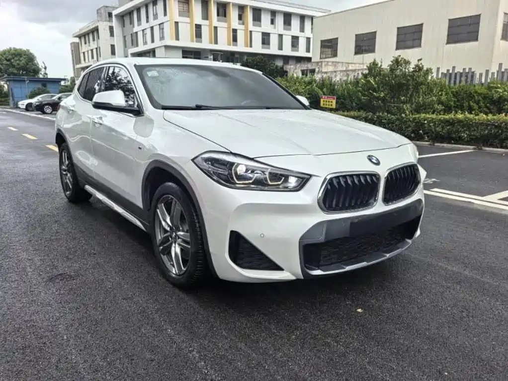 BMW X2 — миниатюра 2