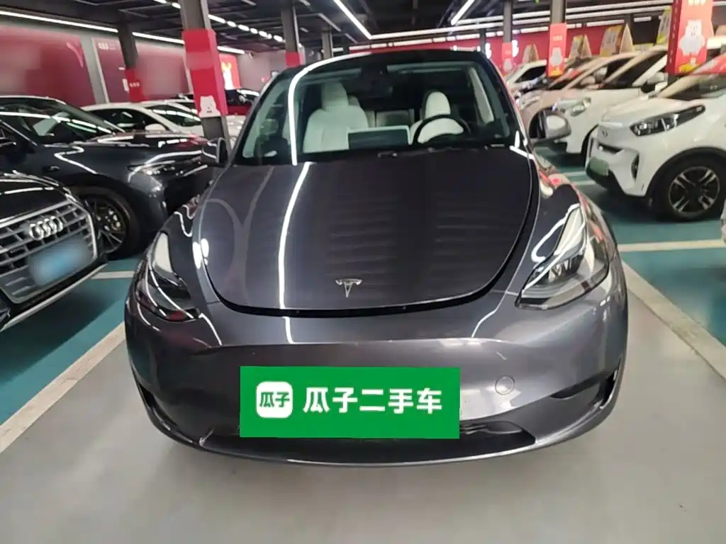 Tesla Model Y — миниатюра 3