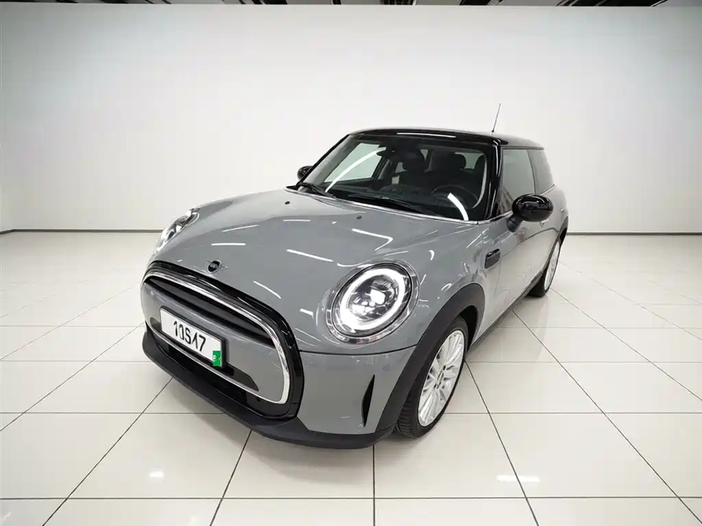 Mini Mini 2021