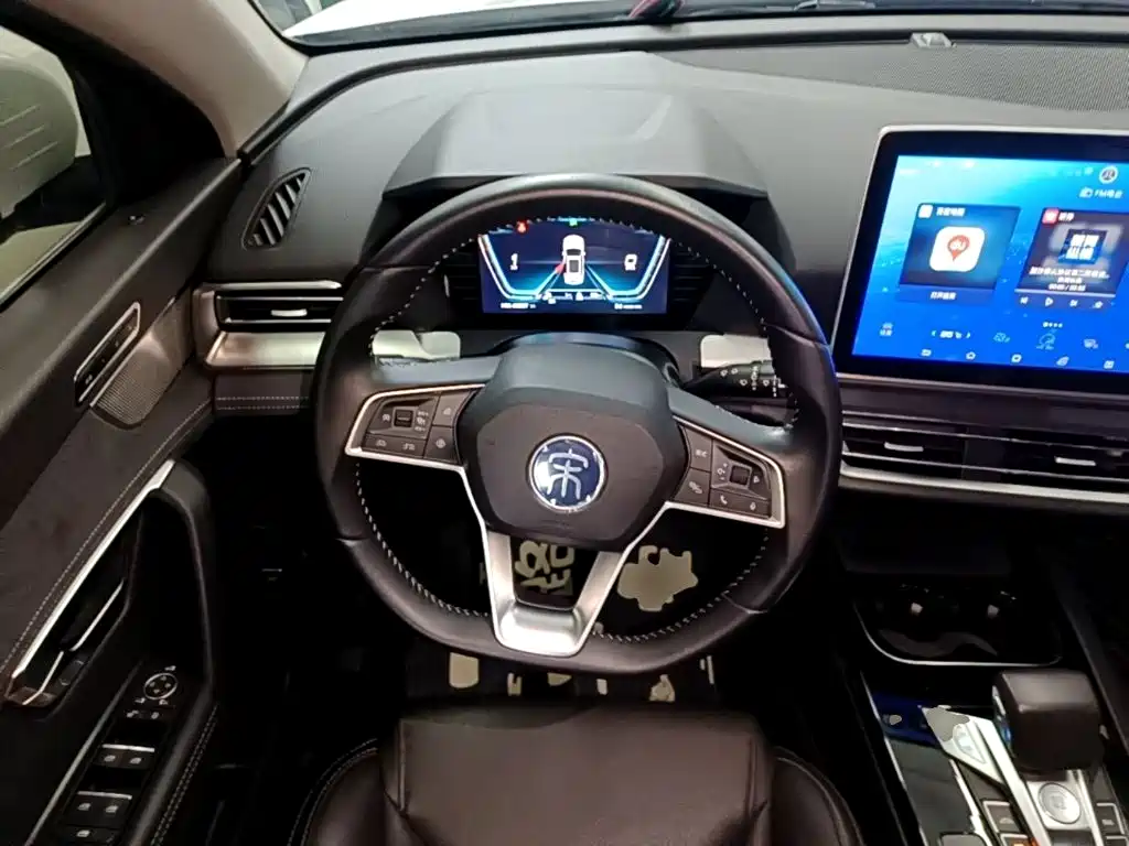 BYD Pro New Energy — миниатюра 11