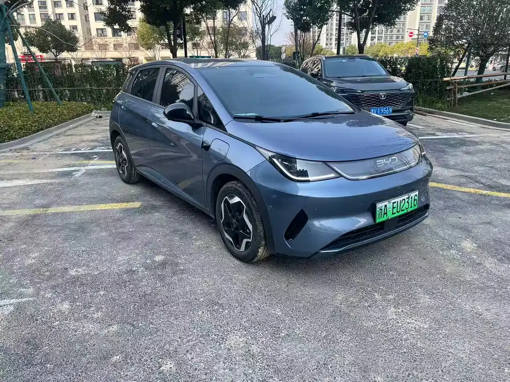 BYD DOLPHIN