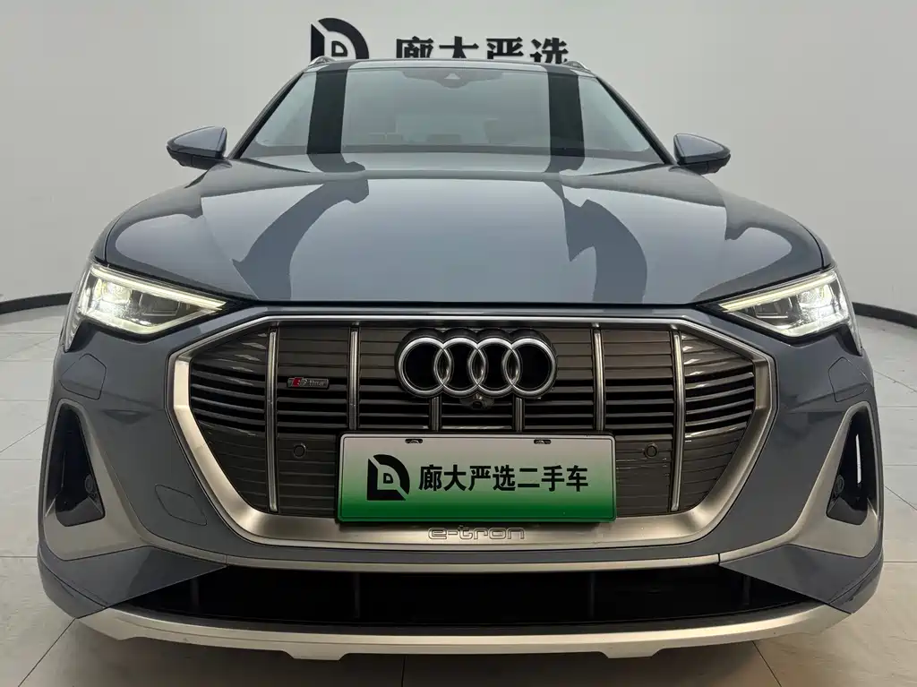 Audi e-tron — миниатюра 2