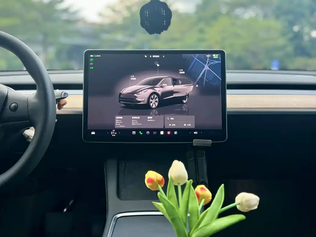 Tesla Model Y — миниатюра 9