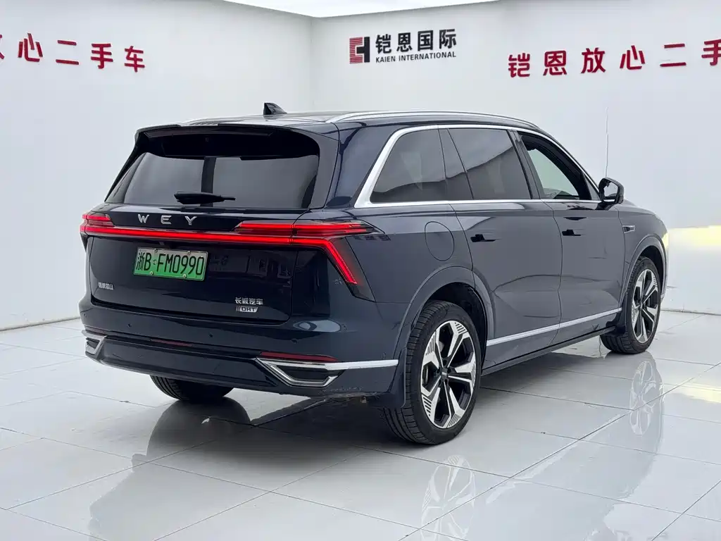 WEI PAI WEI BRAND BLUE MOUNTAIN