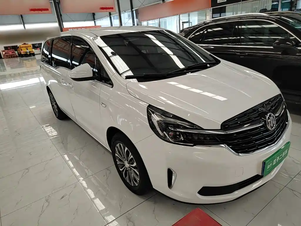 Buick GL8 — миниатюра 4