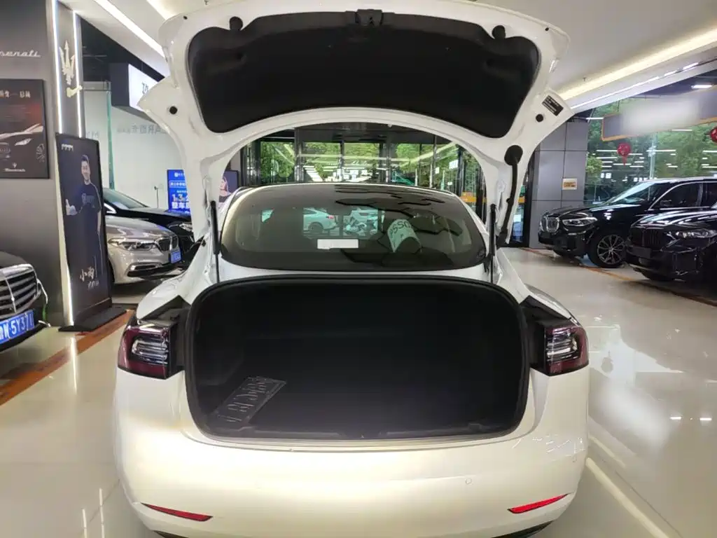 Tesla Model 3 — миниатюра 19