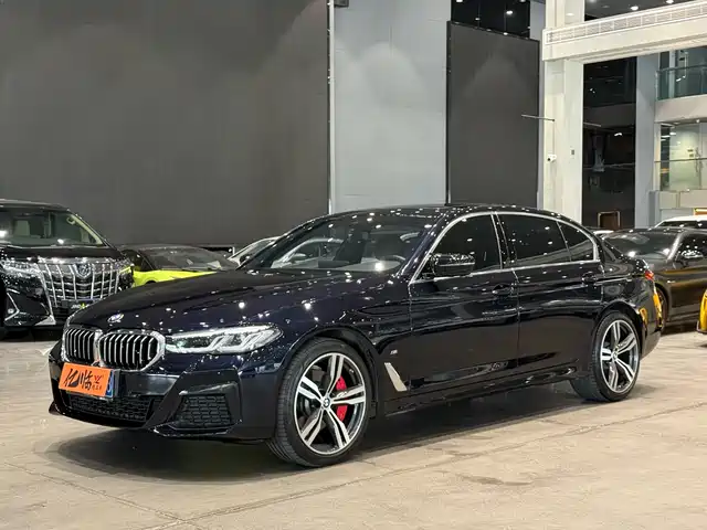 BMW 5 SERIES