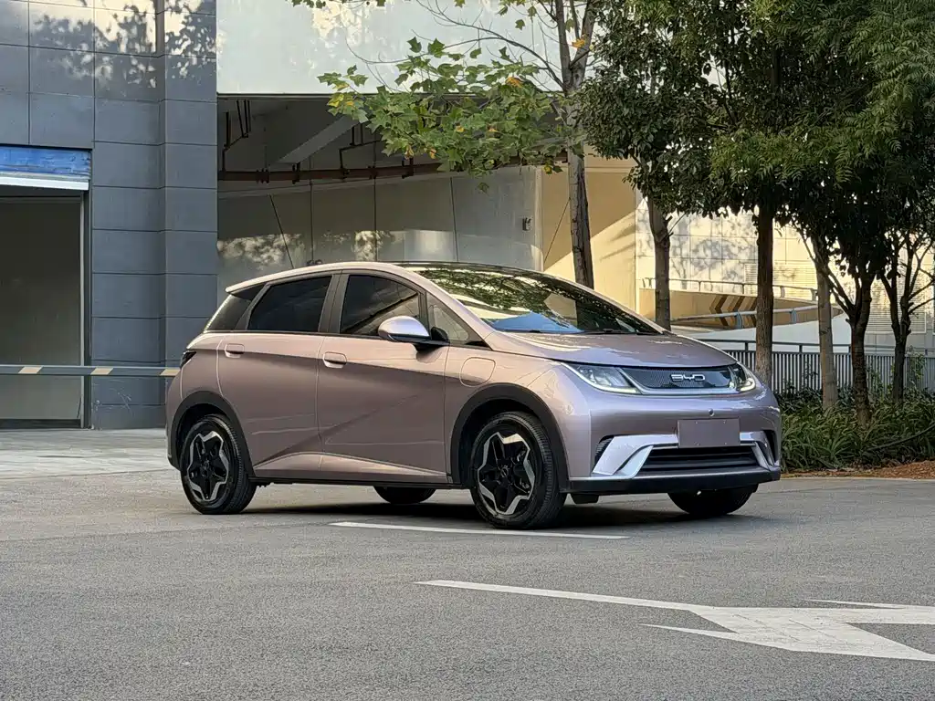 BYD Dolphin — миниатюра 2
