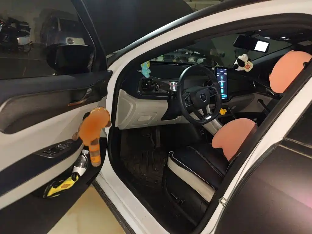 BYD Qin PLUS — миниатюра 14
