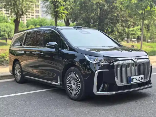 2025 Voyah Dream