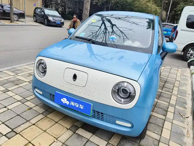 EULER  BLACK CAT 2019