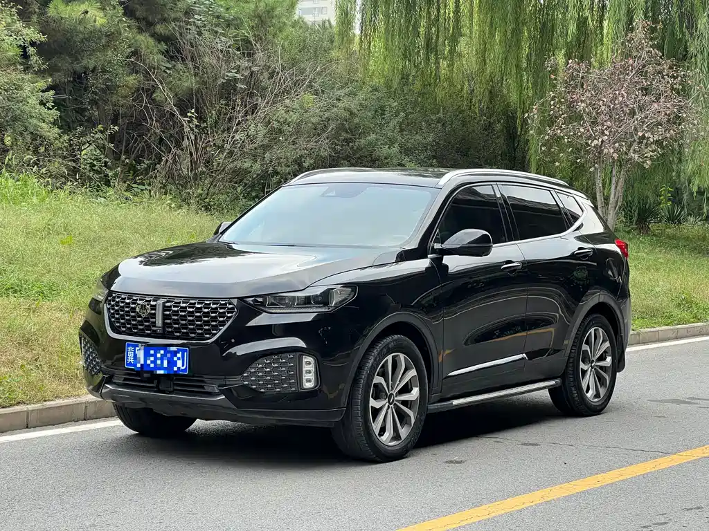 Wey Wey VV6 2019