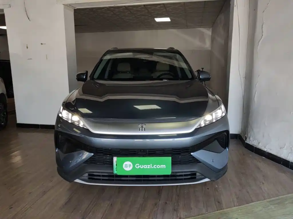 BYD Pro New Energy — миниатюра 3