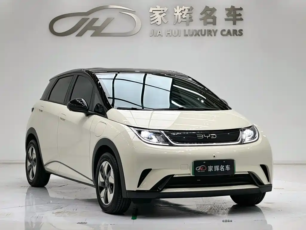 BYD Dolphin — миниатюра 3