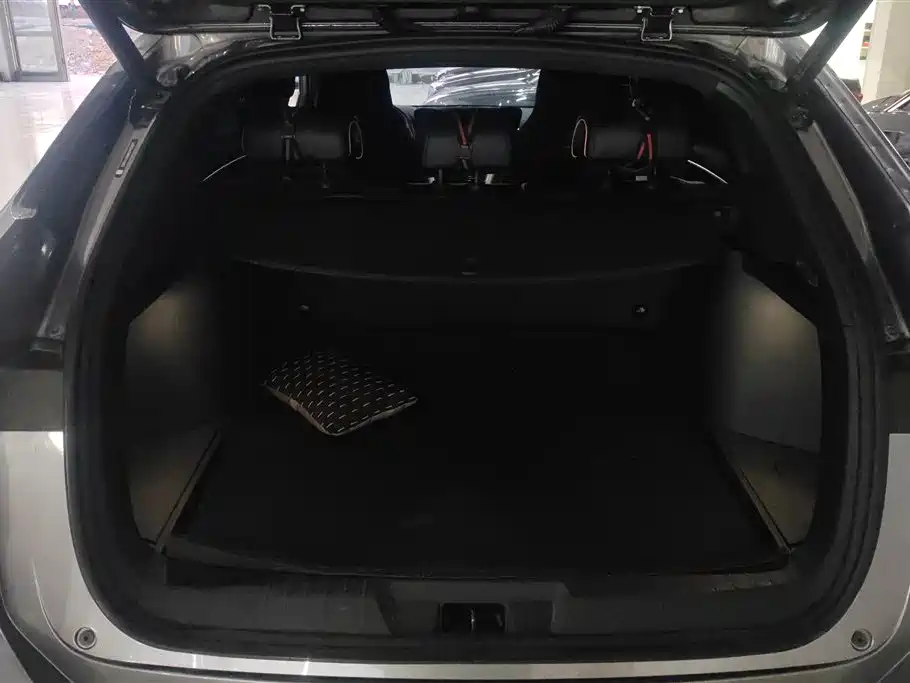 BYD SONGJIANG NEW ENERGY