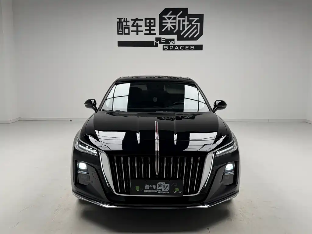 Hongqi H5 2024 2.0T AT