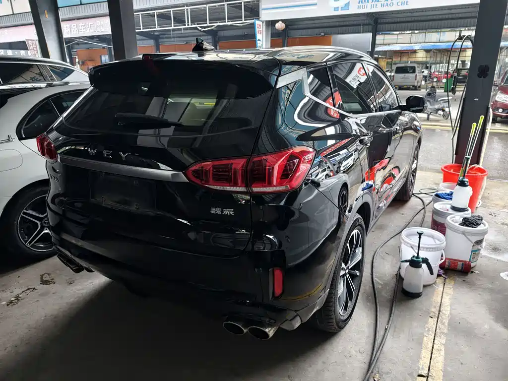 WEI PAI WEI BRAND VV6