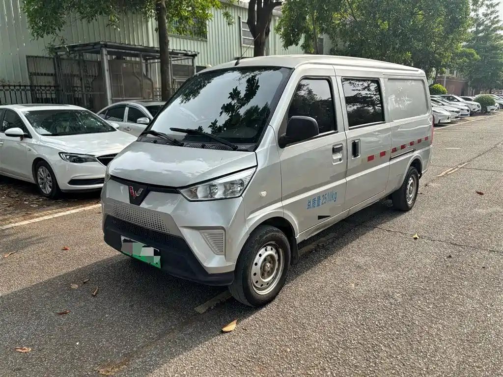 Wuling Wuling EV50 2022