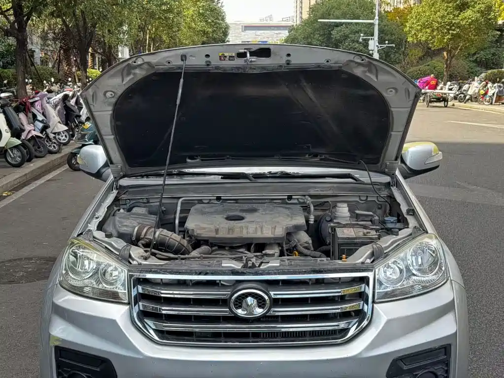 GREAT WALL FENGJUN 5