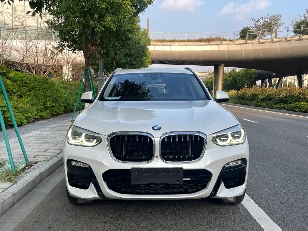 BMW X3 — миниатюра 2
