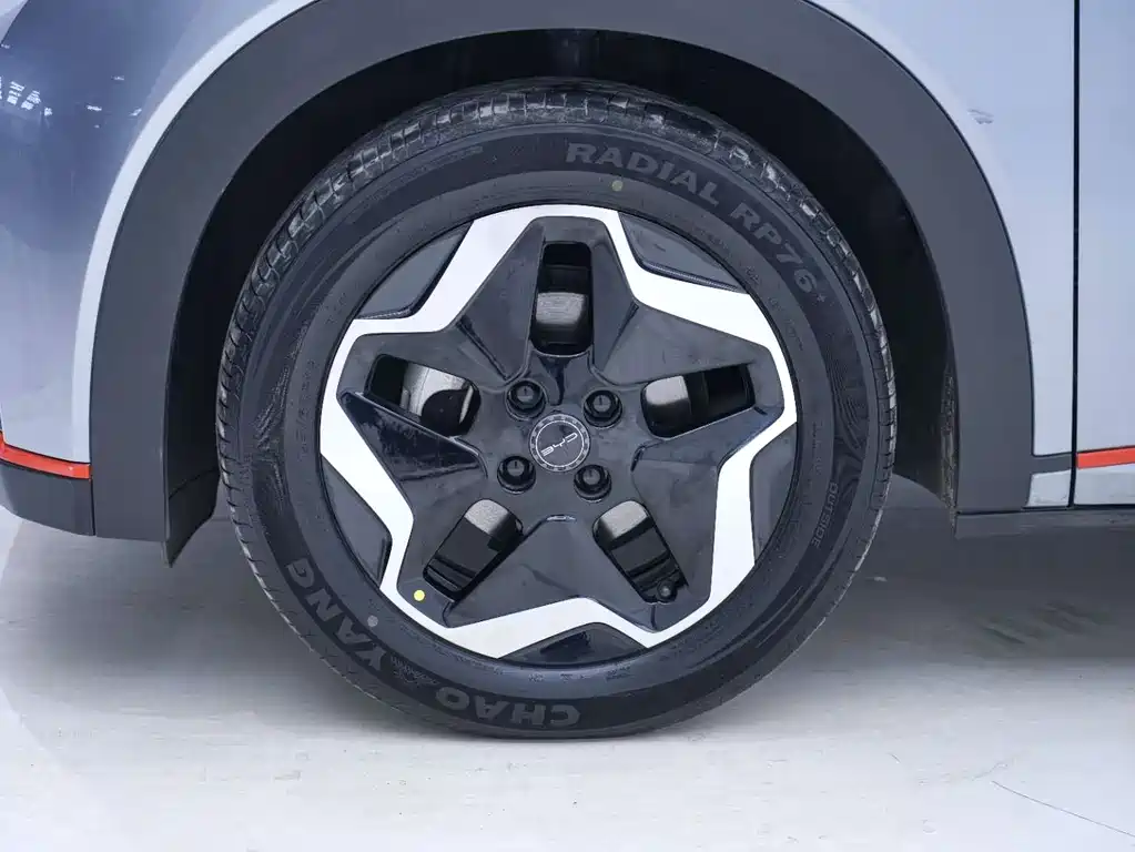 BYD Dolphin 2021 405km Fashion