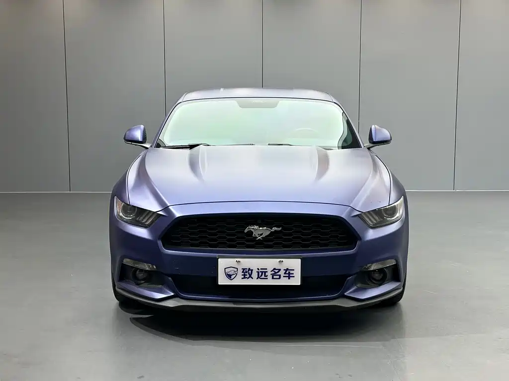 Ford Mustang — миниатюра 2
