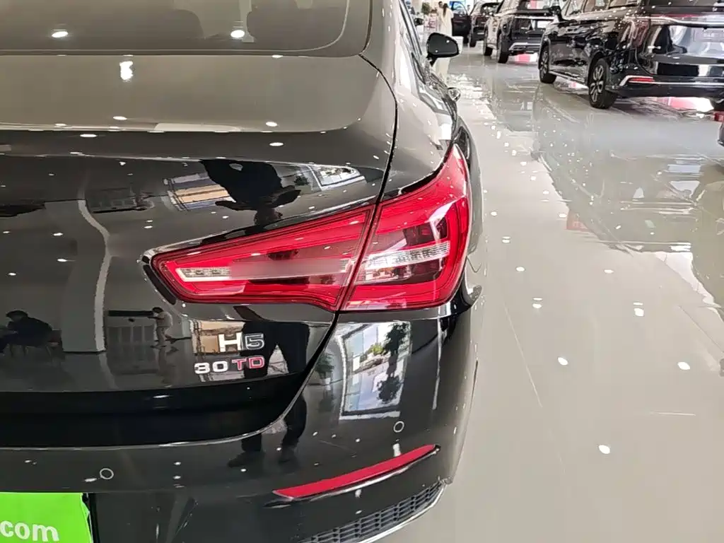 Hongqi Hongqi H5 — миниатюра 8
