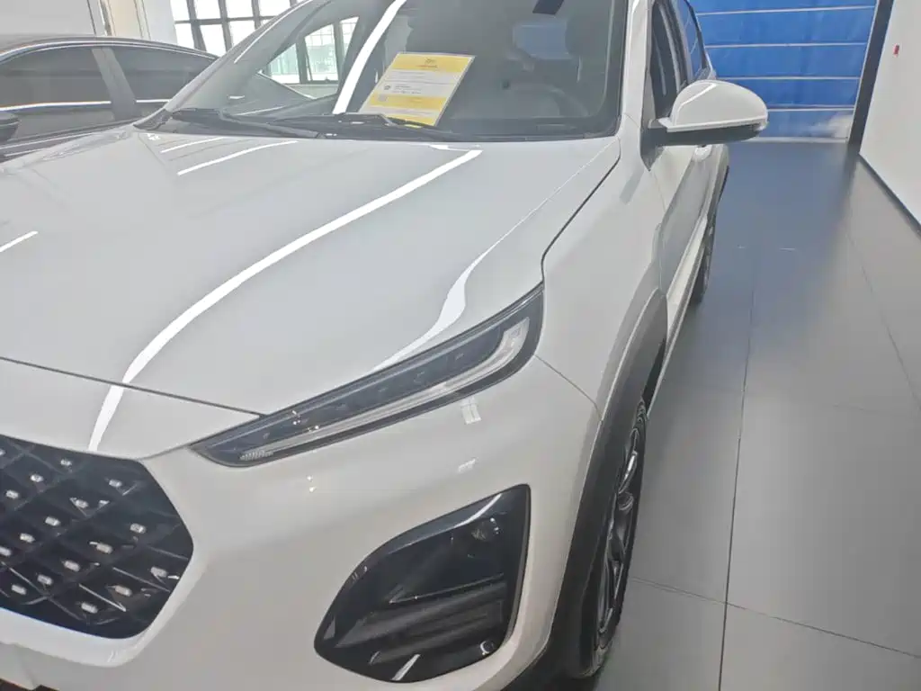 Chery Tiggo 3x — миниатюра 24