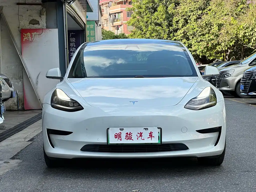 Tesla Model 3 — миниатюра 2