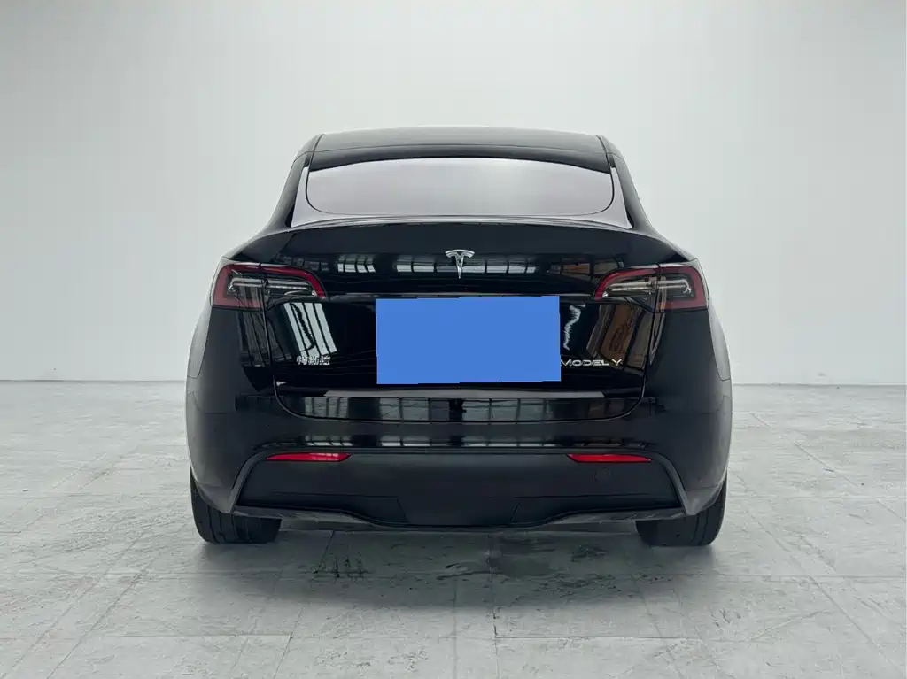 Tesla Model Y — миниатюра 3