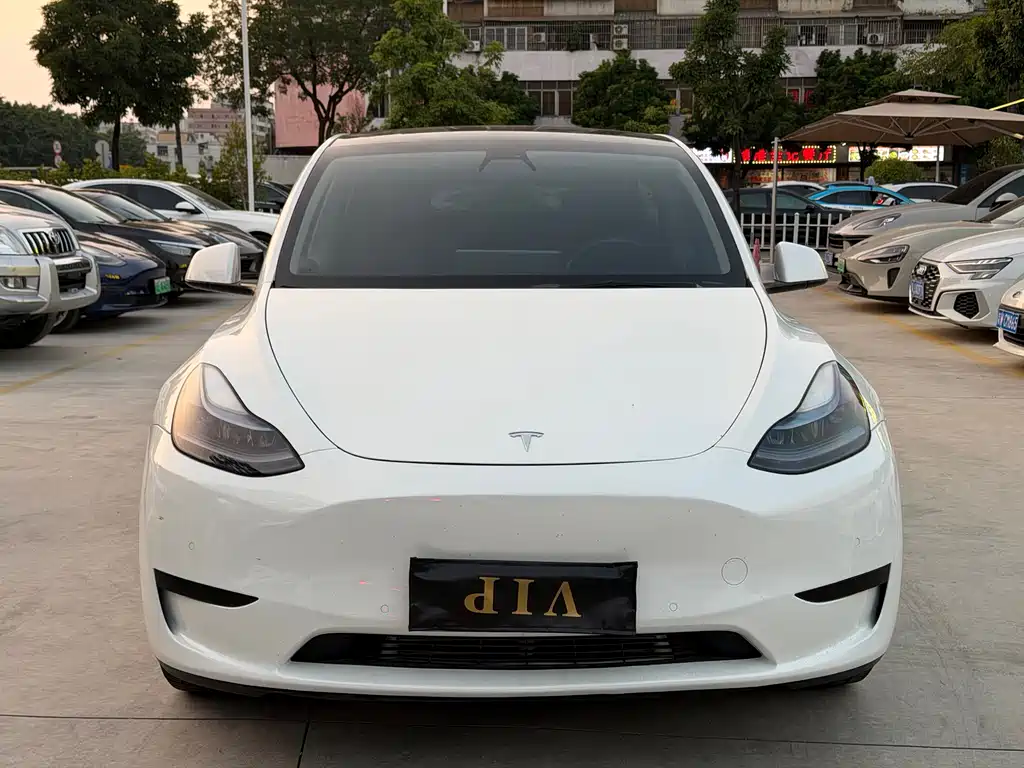Tesla Model Y — миниатюра 2