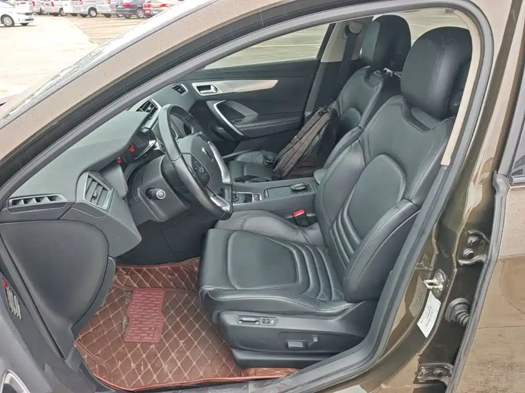 DS DS 5LS — миниатюра 15