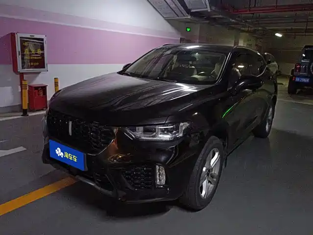 WEI PAI WEI BRAND VV5 2019