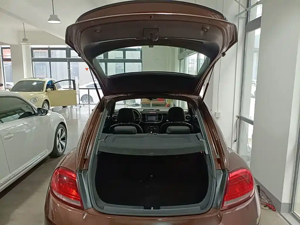 Volkswagen Beetle — миниатюра 19