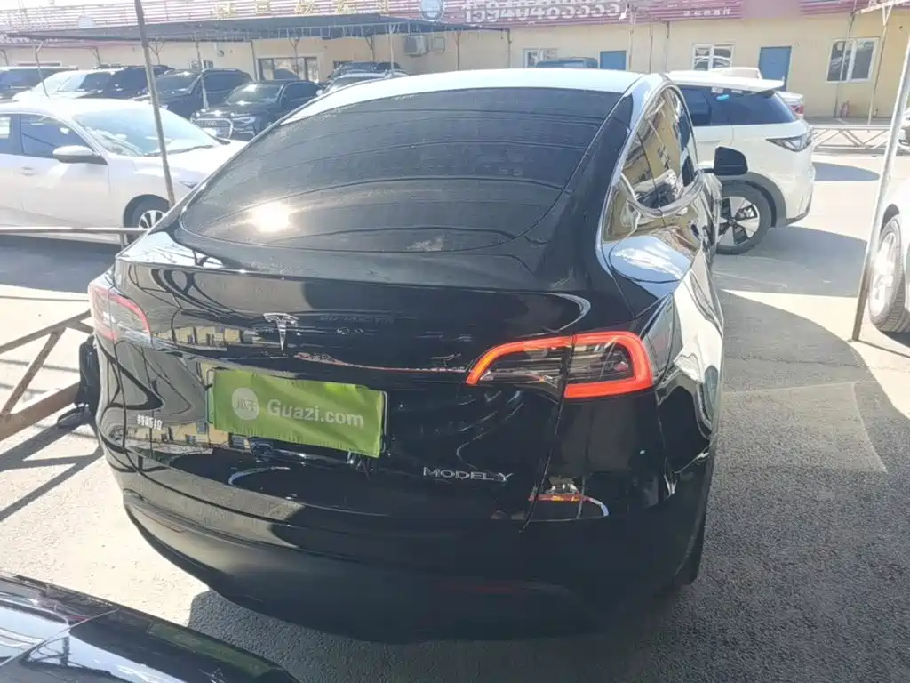 Tesla Model Y — миниатюра 6