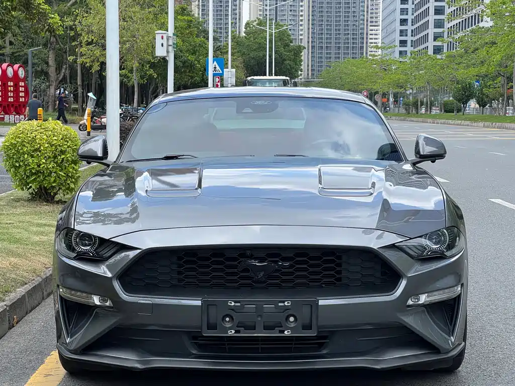 Ford Mustang — миниатюра 2
