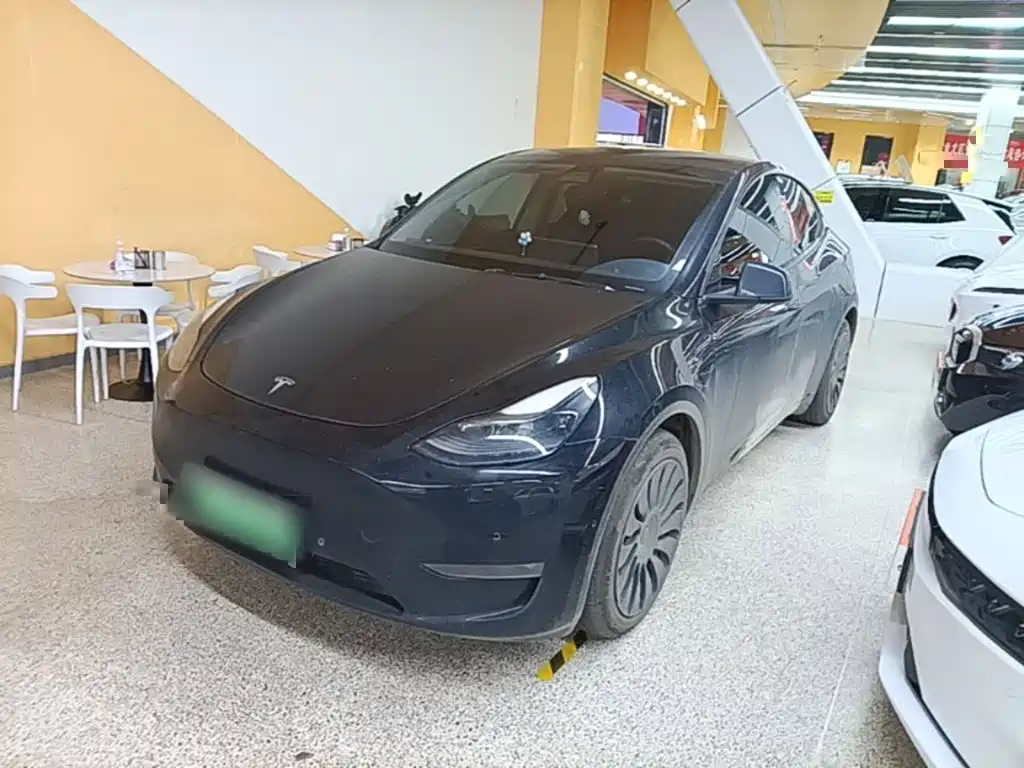 Tesla Model Y — миниатюра 2