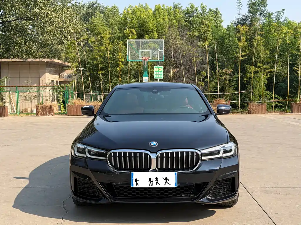 BMW 5 Series — миниатюра 2