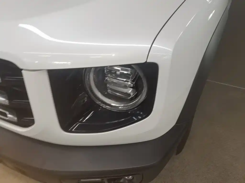 Haval Big Dog — миниатюра 24