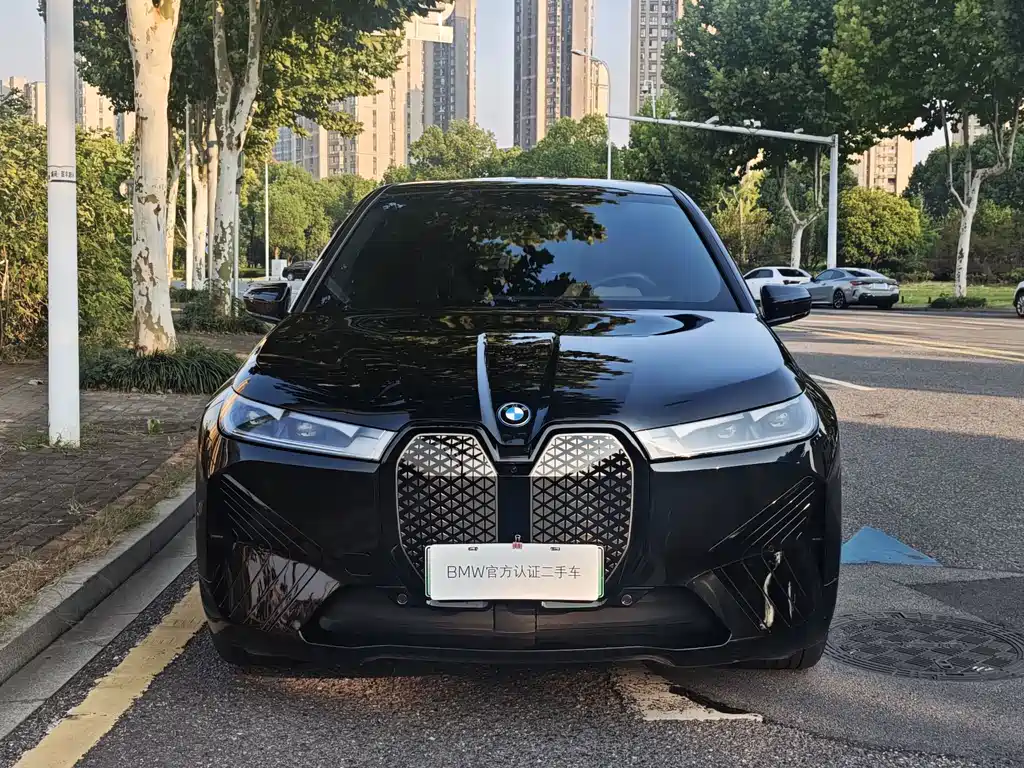 BMW iX — миниатюра 2